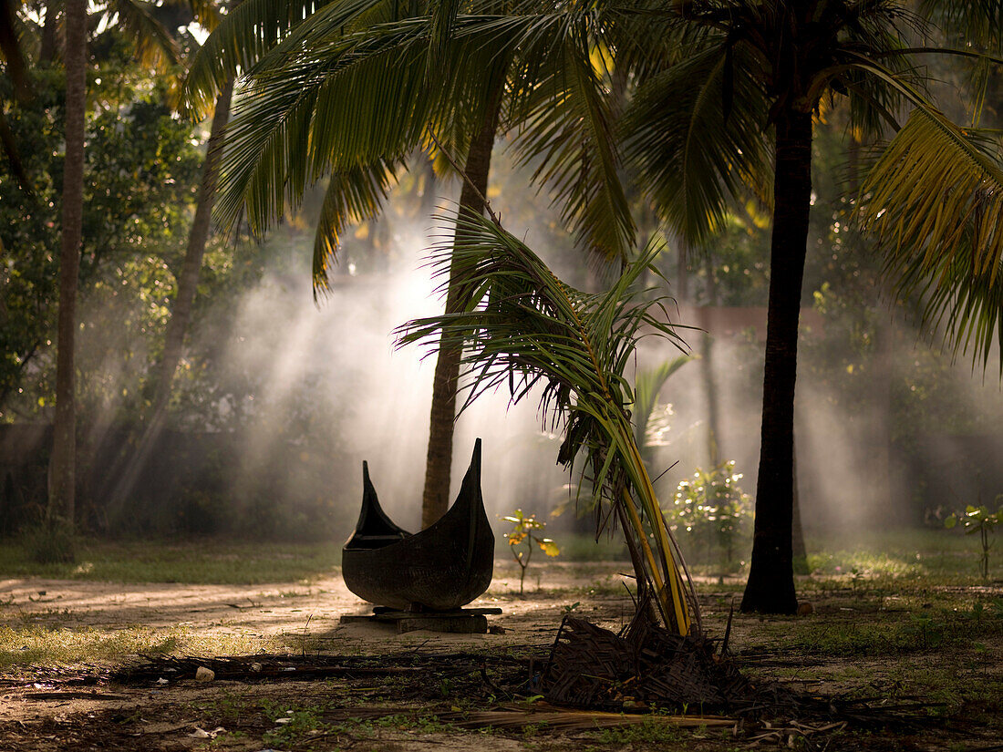Canoe Under Palm Trees In Kerala, India