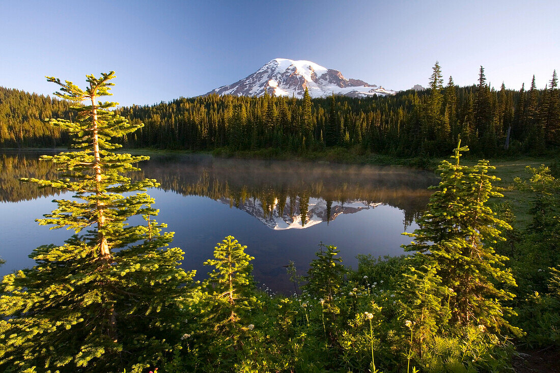 Reflection Of Lake And Mount Rainier, Mount Rainier National Park, Washington, Usa