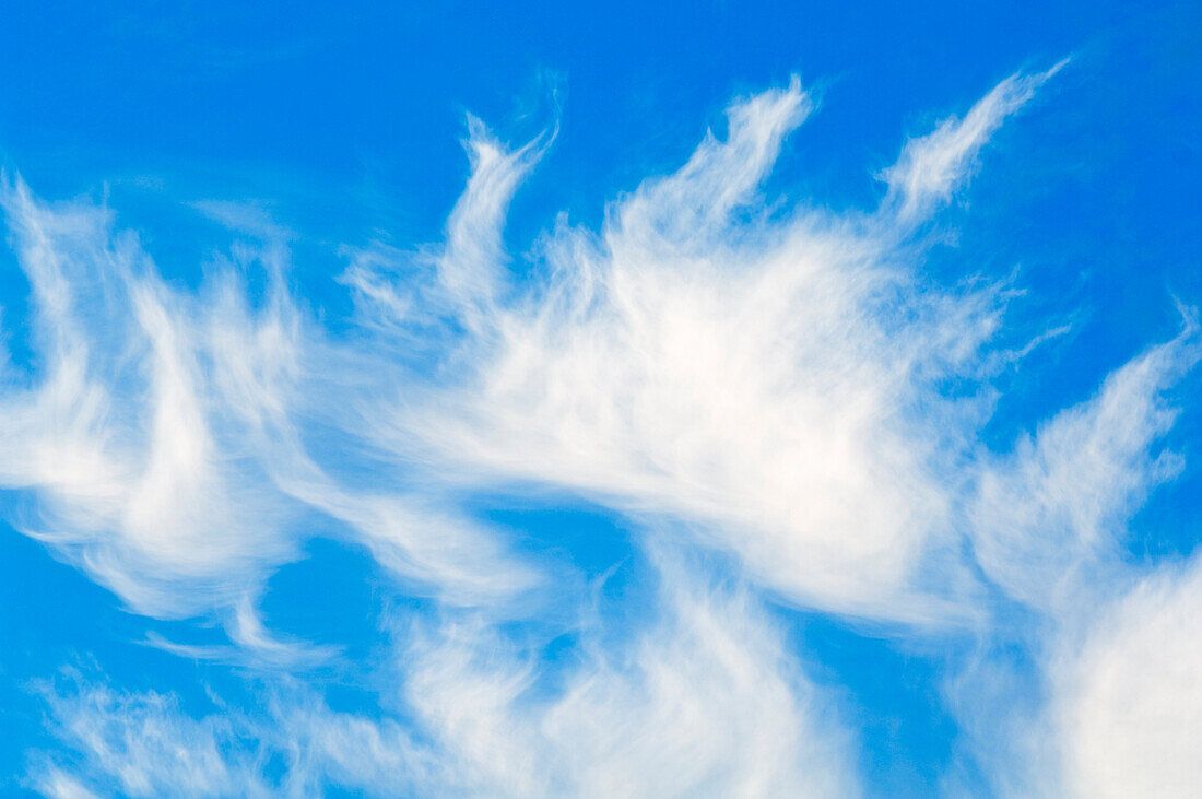 Wispy White Clouds On Blue Sky