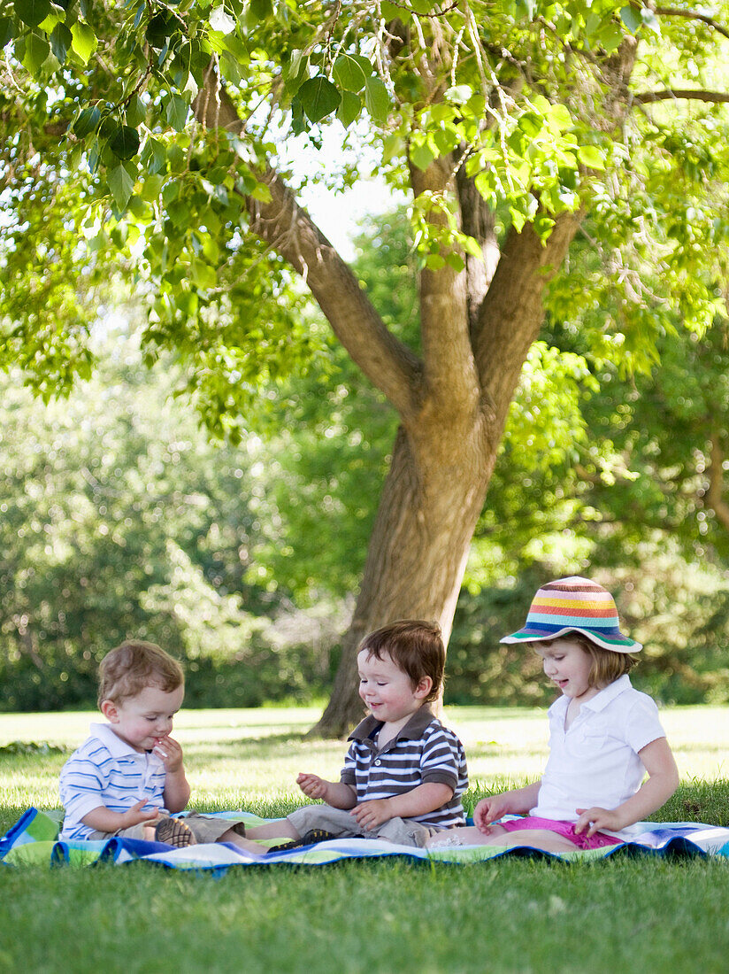 Three Children Sitting Under A Tree