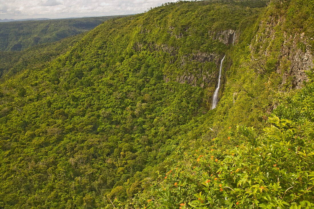 River Noire Falls, Viewpoint At Black River Gorges National Park, Mauritius, Africa
