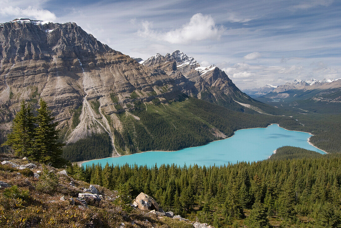 Peyto Lake, Banff National Park, Alberta, Canada