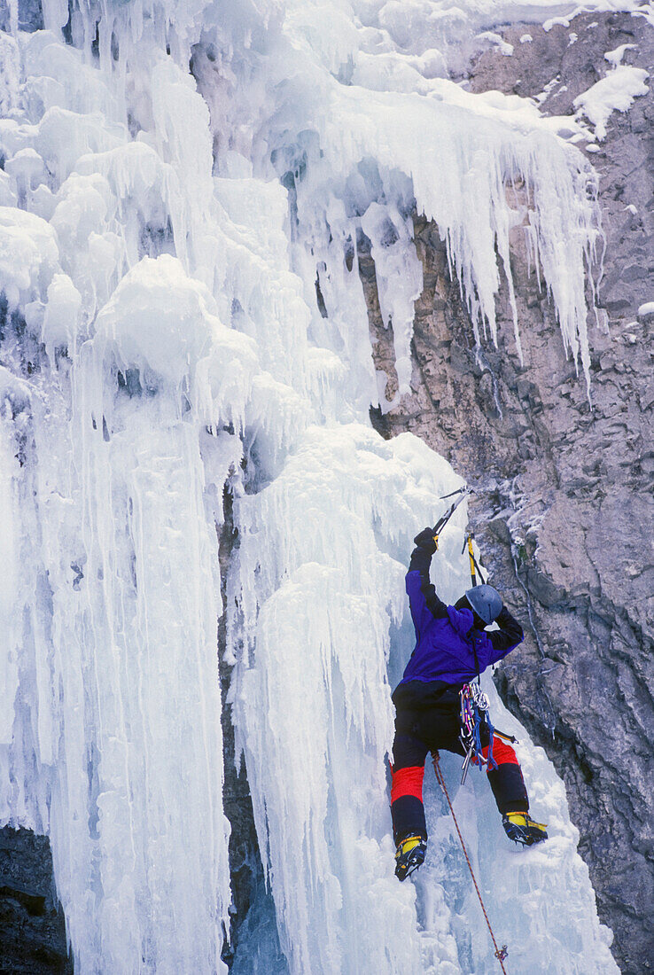 Man Ice Climbing A Frozen Waterfall, Marble Canyon, Marble Canyon Provincial Park, British Columbia, Canada