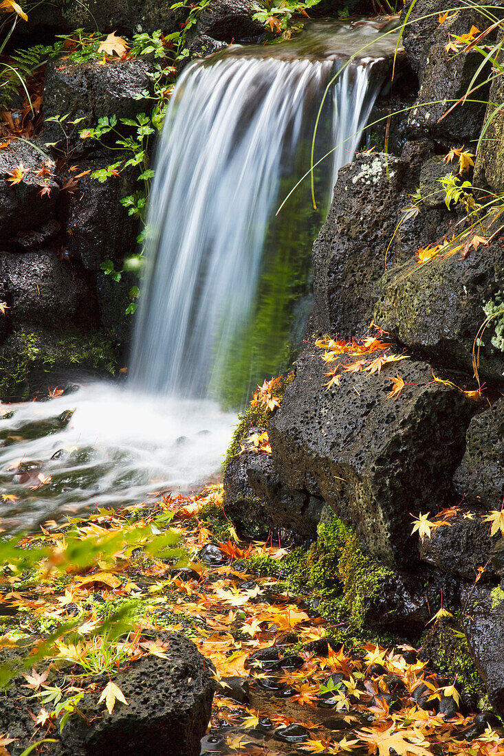 Oregon Cascades, Oregon, Usa