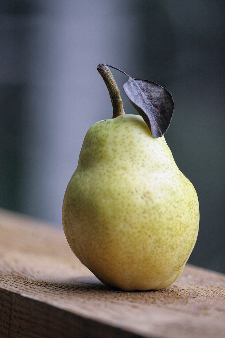 'A Pear With A Leaf On The Stem; Jordan, Ontario, Canada'