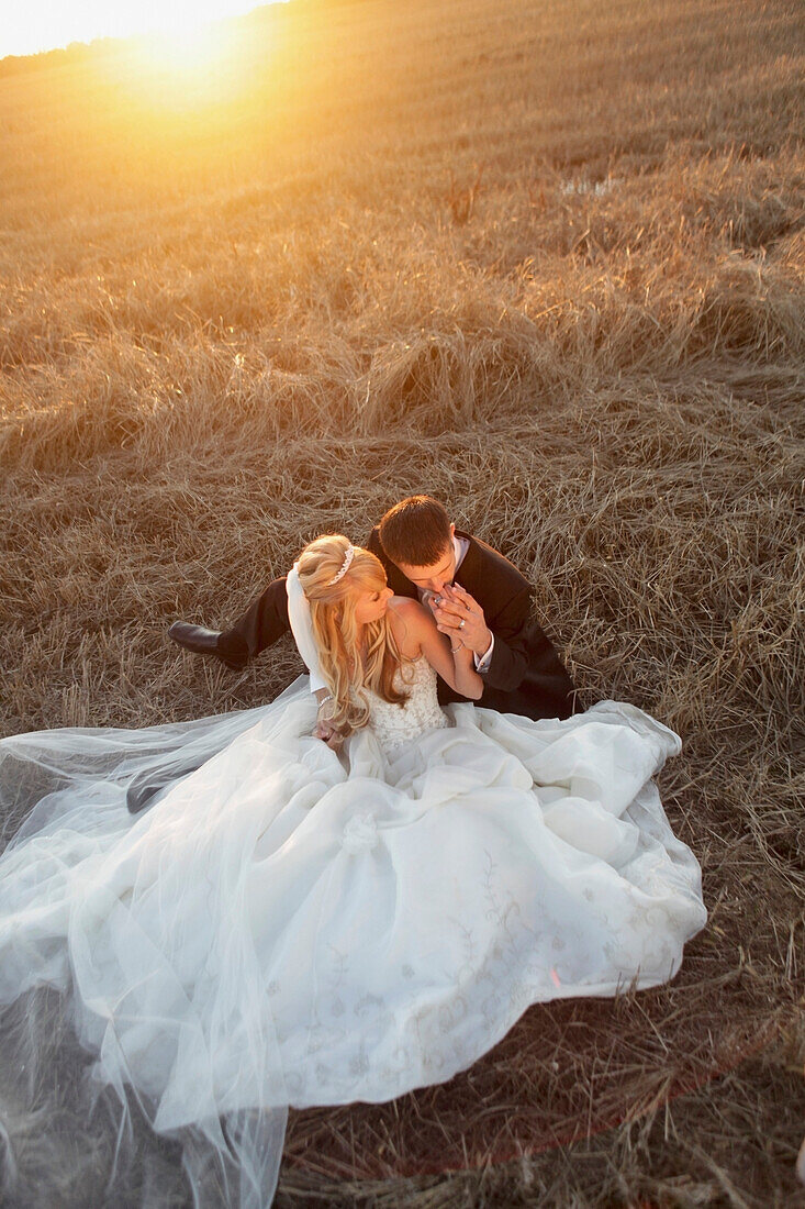 'A Bride And Groom Sitting In A Field; St. Catherine's, Ontario, Canada'