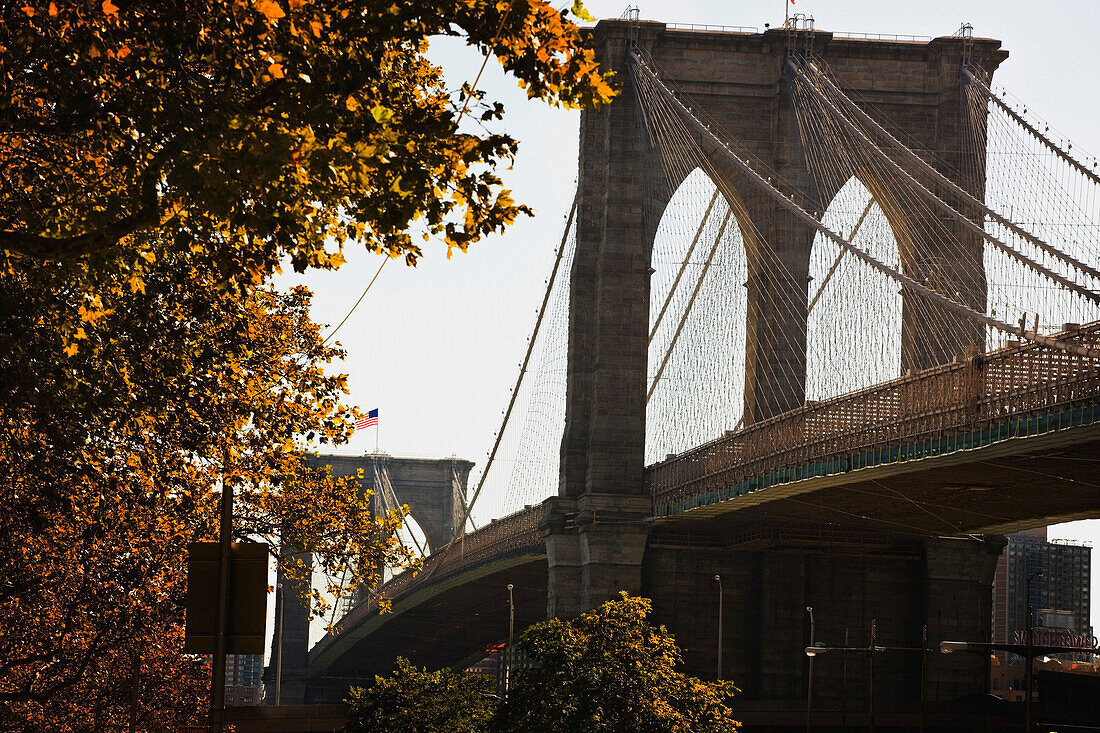 'New York City, New York, United States Of America; Brooklyn Bridge In Autumn'