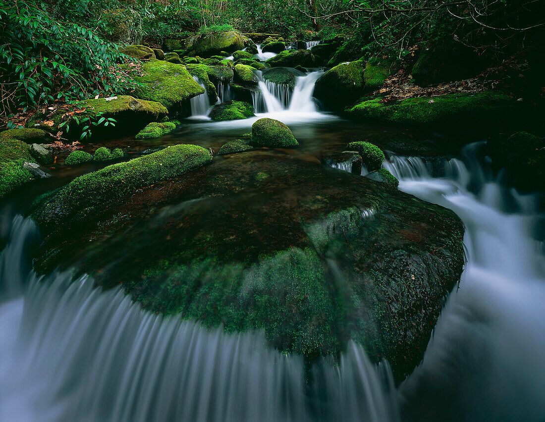 'Tennessee, United States Of America; Moss And Curved Cascade In The Roaring Fork River In Great Smoky Mountains National Park'