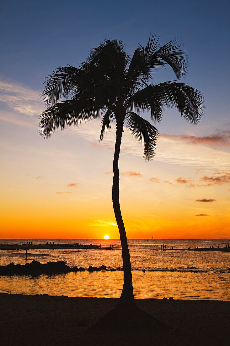 'Kauai, Hawaii, United States Of America; Cove With Palm Tree At Sunset And People On The Beach In The Distance'