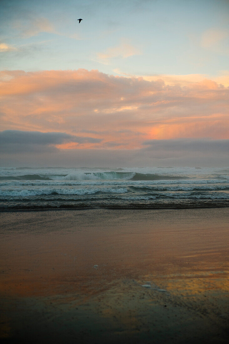 'Breaking Waves Crashing Towards The Shore At Sunset; Waihi Beach, New Zealand'