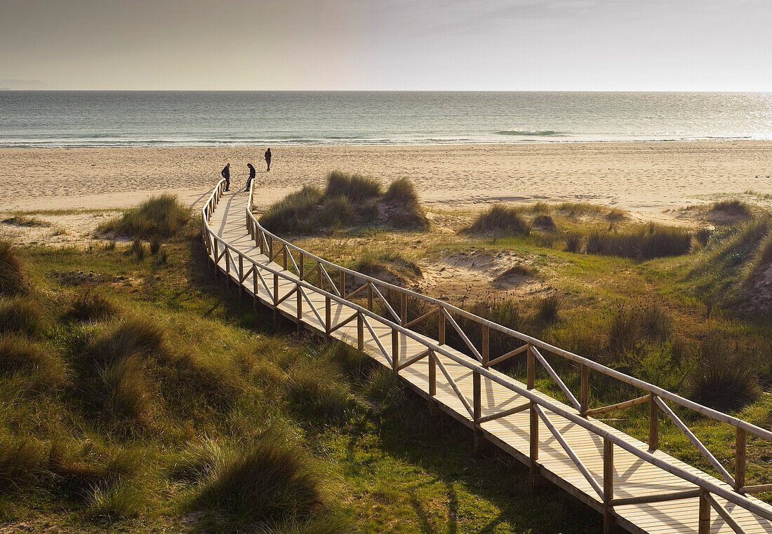 'Tarifa, Costa De La Luz, Cadiz, Andalusia, Spain; A Wooden Boardwalk Leading To Dos Mares Beach In Front Of Hotel Dos Mares'