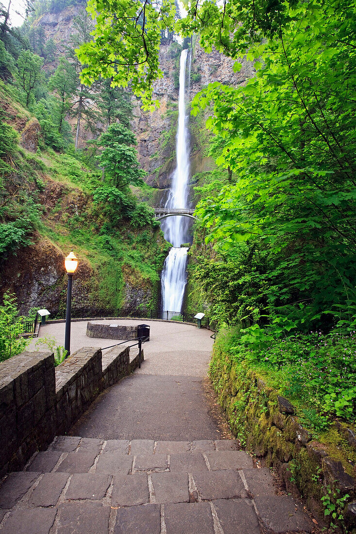 'Oregon, United States Of America; Multnomah Falls In Columbia River Gorge National Scenic Area'