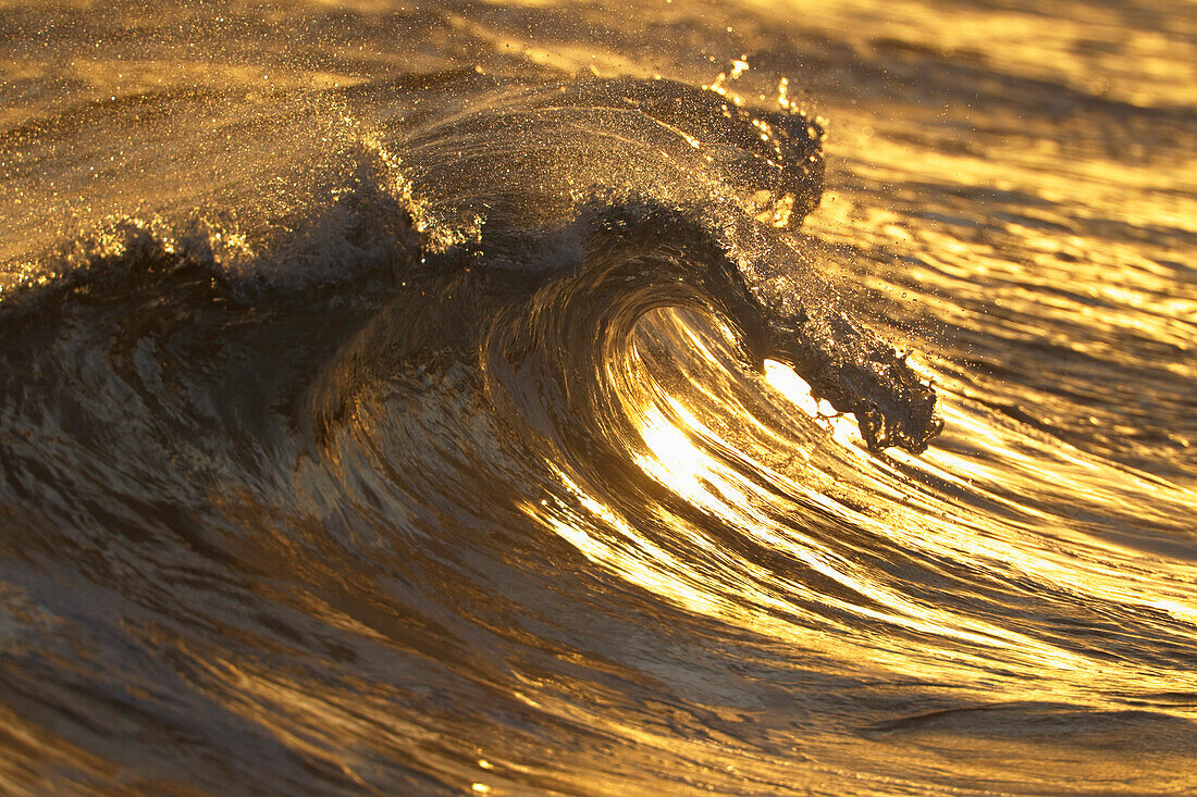 'Hawaii, United States Of America; Light From Setting Sun Glistens On Breaking Wave'