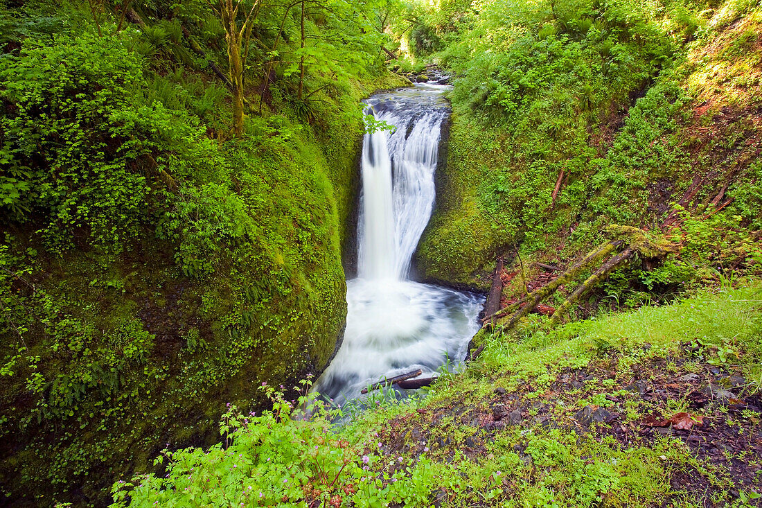 'Oregon, United States Of America; Middle Oneonta Falls In Columbia River Gorge National Scenic Area'