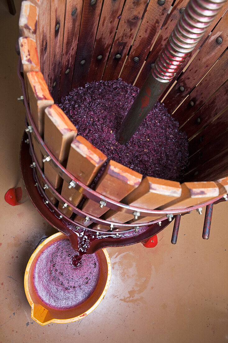 'A Grape Press With Red Grape Juice Pouring Into A Bucket; Calgary, Alberta, Canada'