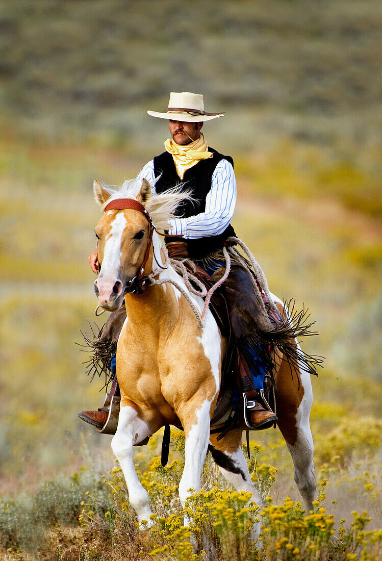'Lonely Cowboy With Old Fashioned Mustache Rides His Beautiful Horse Through A Colorful Field Of Wildflowers; Seneca, Oregon, United States Of America'