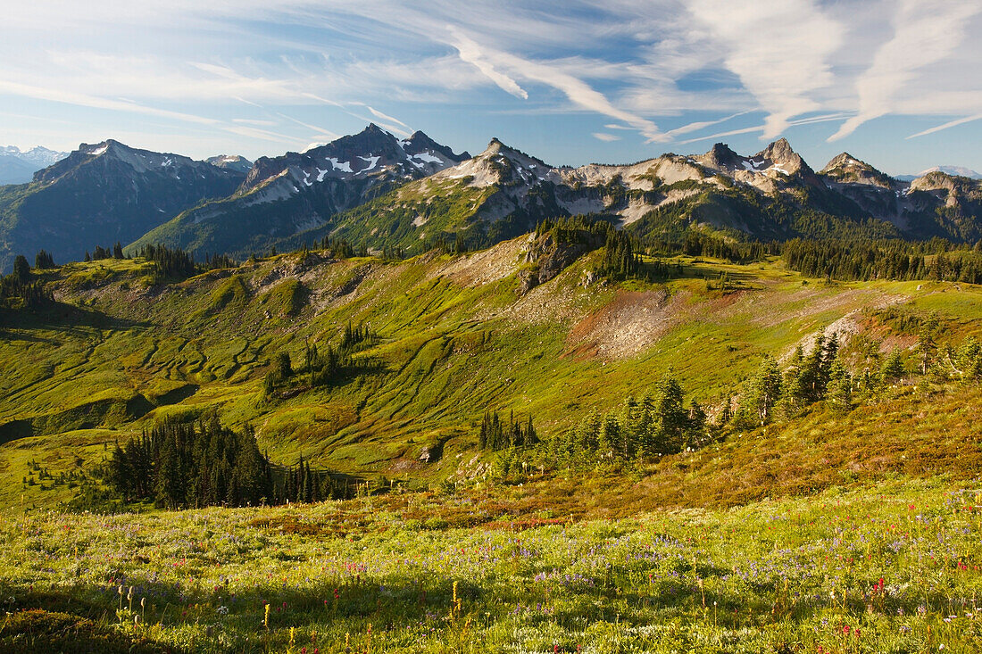 'Tatoosh Mountains In Paradise Park In Mt. Rainier National Park; Washington, United States Of America'