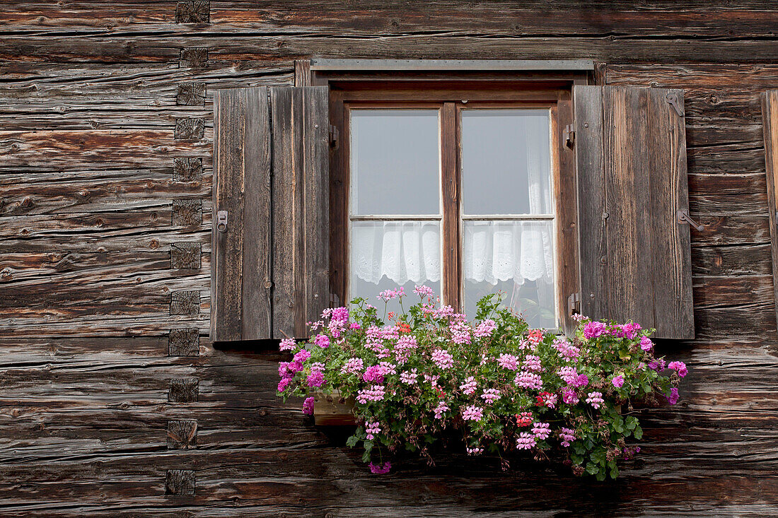 'Old Wooden Log Cabin With A Flower Box And Wooden Shutters Around The Window; Oberstdorf, Germany'