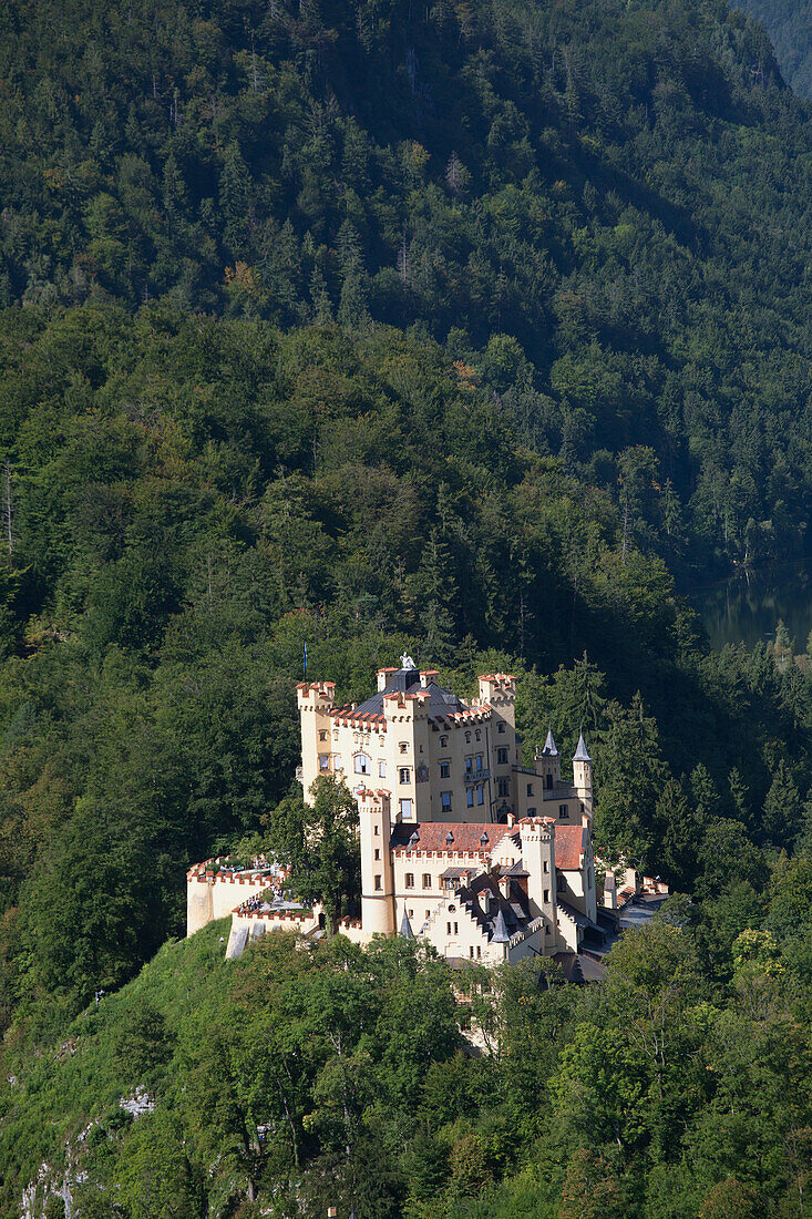 'A Bavarian Castle On A Mountain Side Surrounded By Trees; Fussen, Germany'
