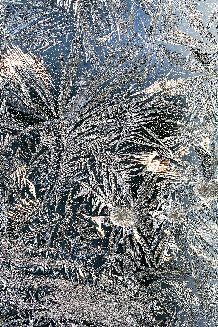 'Frost Crystals On A Window; Calgary, Alberta, Canada'