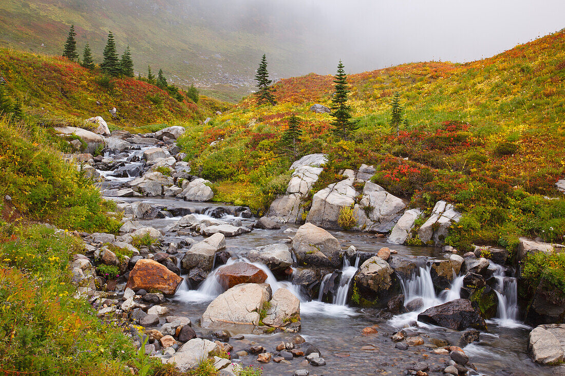 'Autumn Colors In Mt. Rainier National Park; Washington, United States Of America'