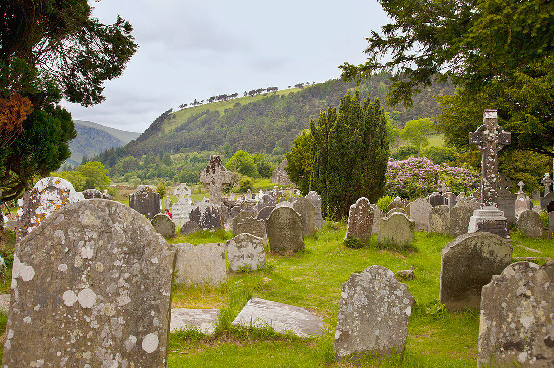 'Tombstones In A Cemetery On A 6Th Century Monastic Site; Glendalough, County Wicklow, Ireland'