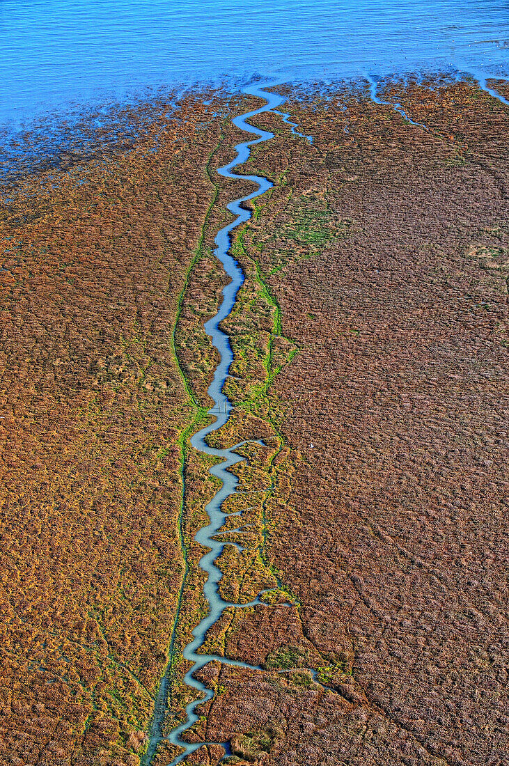 aerial view of a blue stream flowing into the sea shore brown algae. vertical image