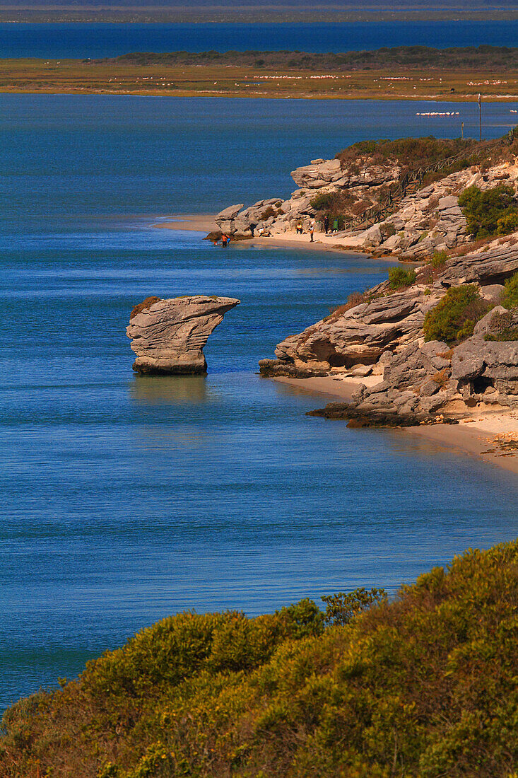 South Africa. Langebaan lagoon.  West coast national park.