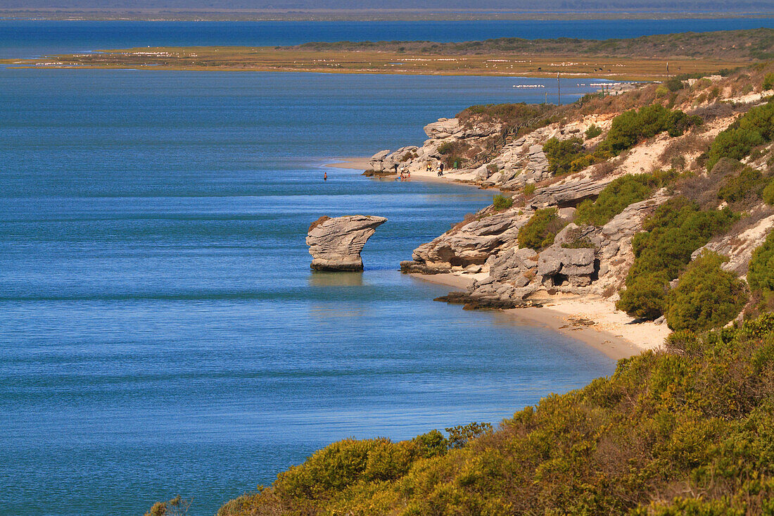 South Africa. Langebaan lagoon.  West coast national park.