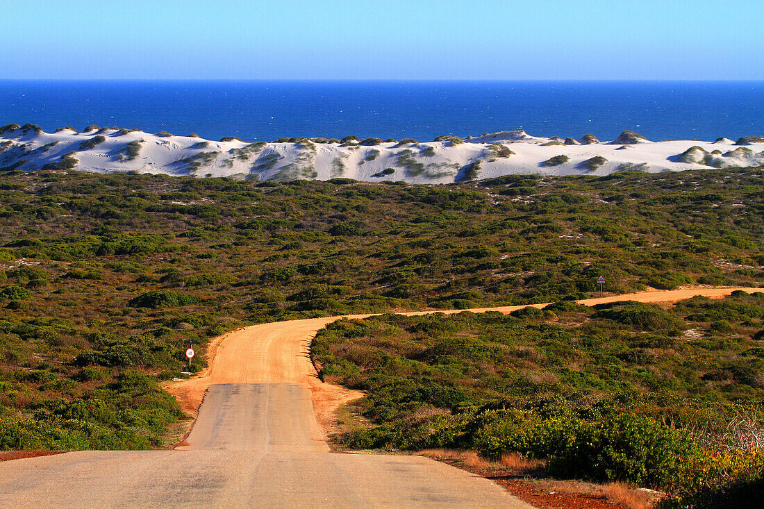 South Africa. Langebaan. Tsaarsbank. West coast national park.