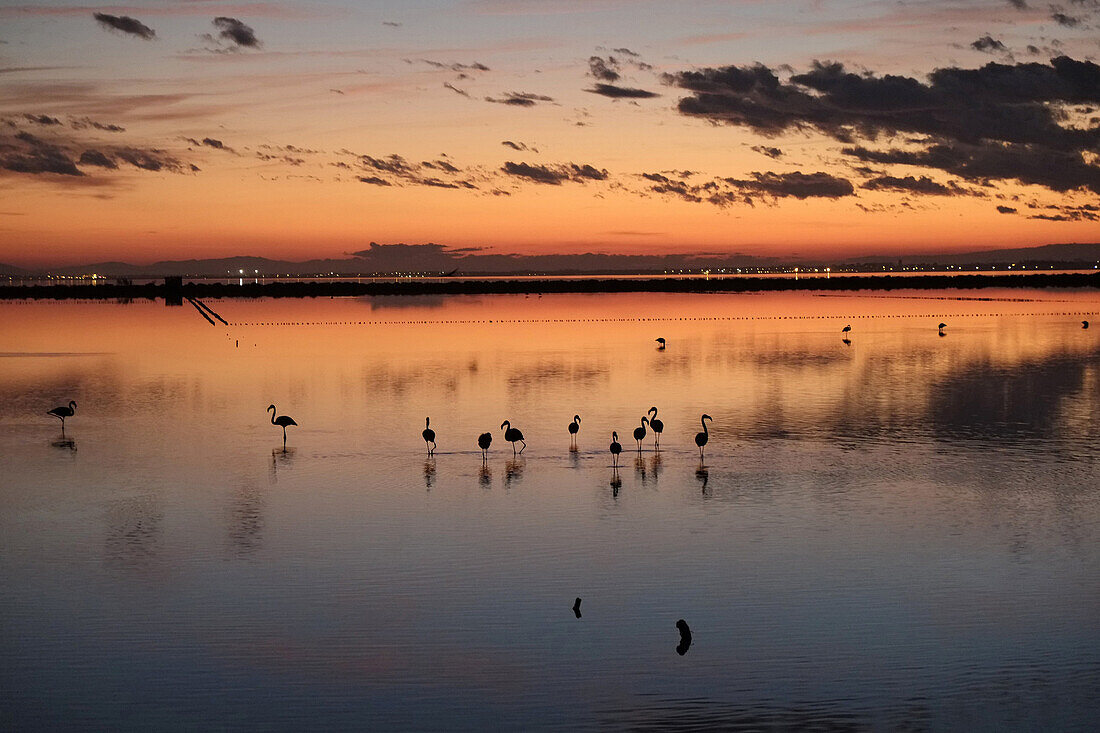 France, Hérault, l'étang de thau.