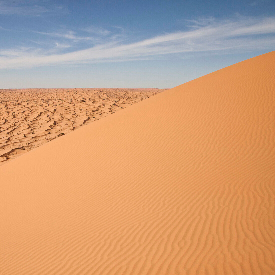 Sahara sand dunes. Tunisia.