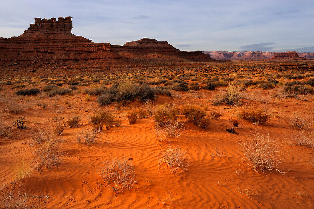 VALLEY OF GODS, UTAH, USA