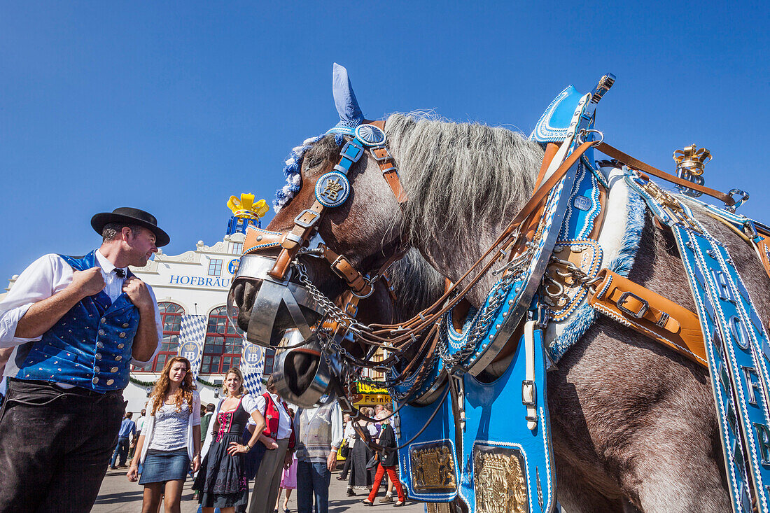 Germany, Bavaria, Munich, Oktoberfest, Horses Dressed in Festival Livery
