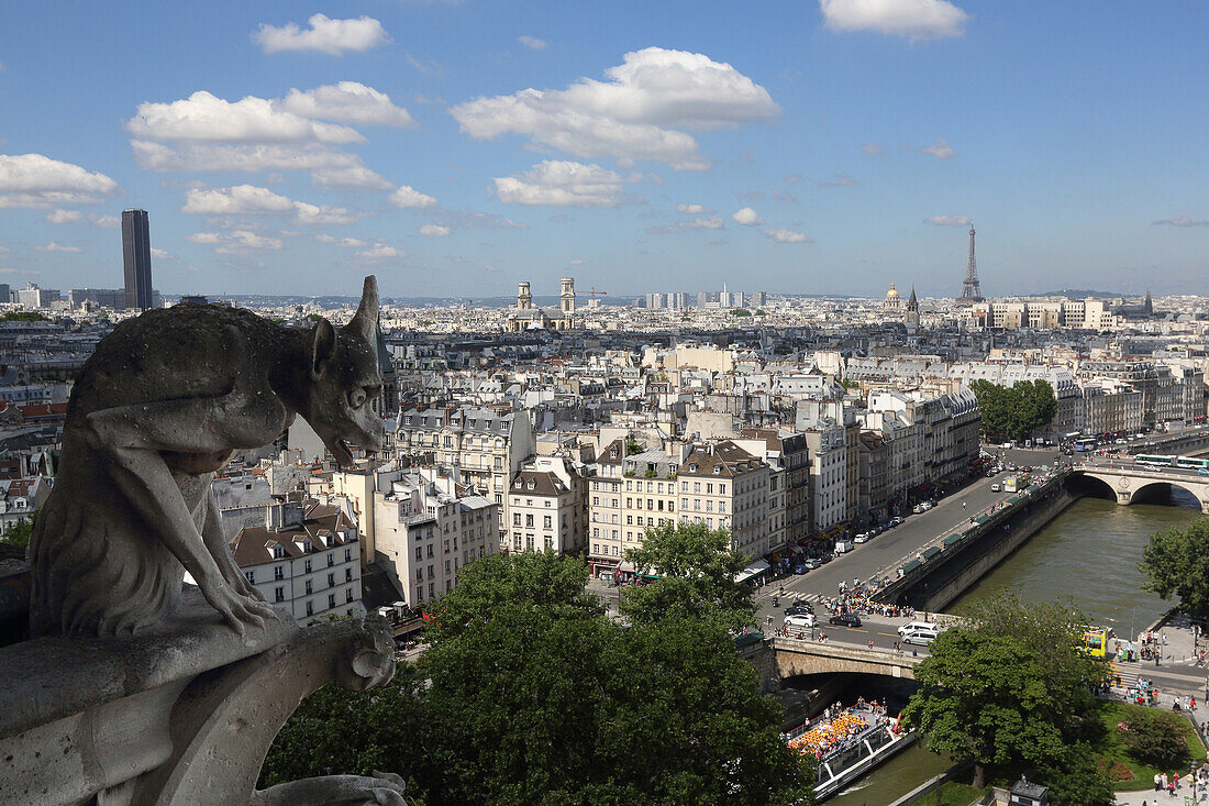 France, Paris, Notre Dame cathedral, view from tower