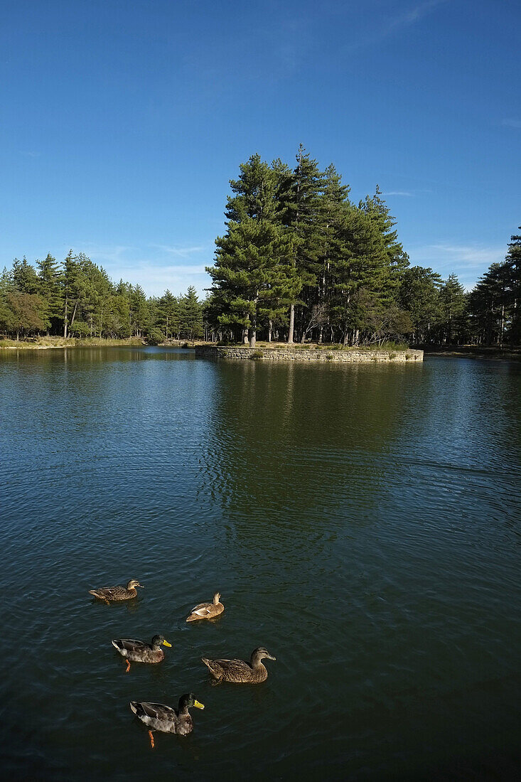 France, Hérault, the lake on the grounds of the former priory of Saint Michel de Grandmont.