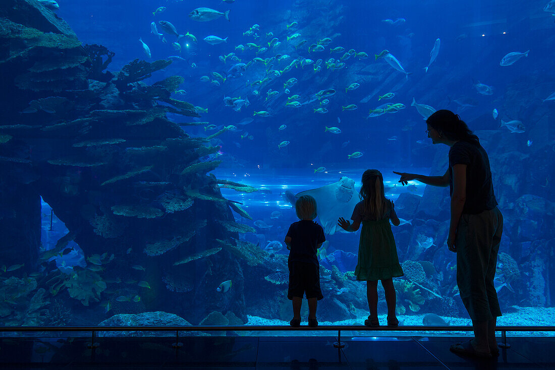 'Mother with boy and girl looking into the massive aquarium in the Dubai Mall; Dubai, United Arab Emirates'