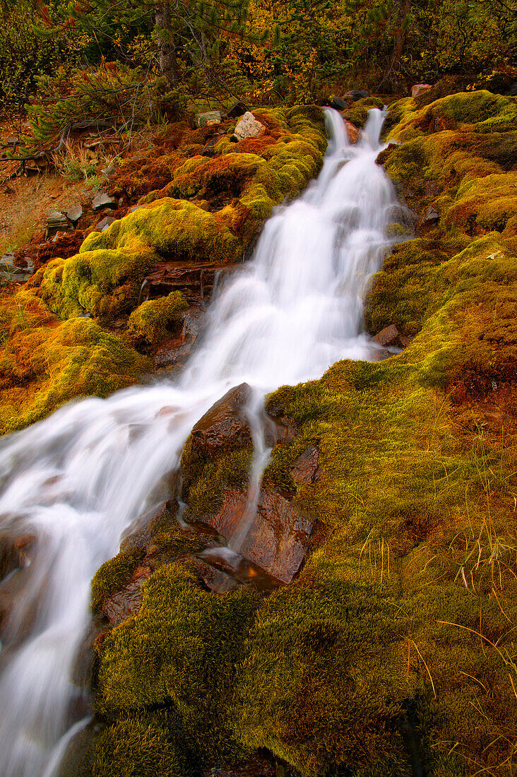 Mossy Waterfall, Jasper, Alberta, Canada