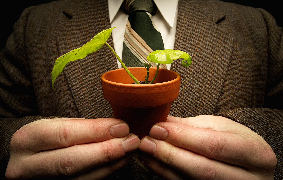 Businessman Holding A Bean Plant In A Pot