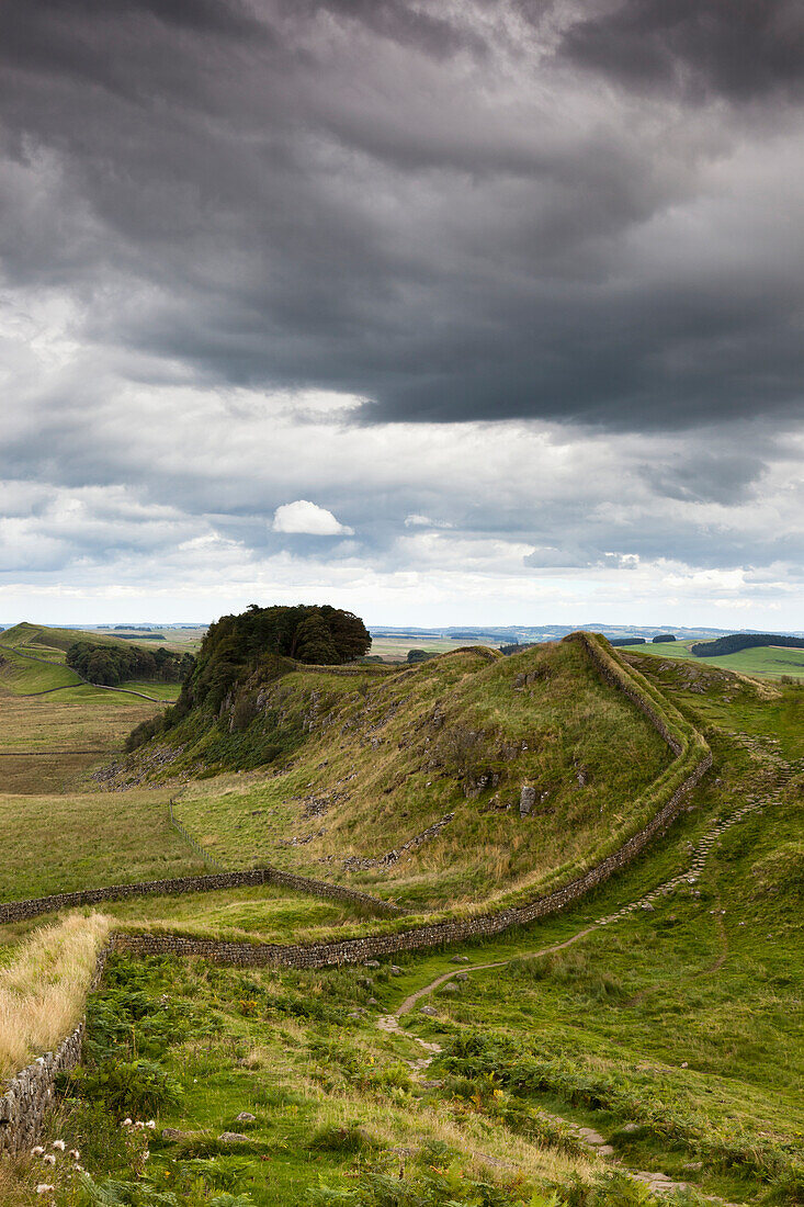 'Hadrian's Wall; Northumberland, England'