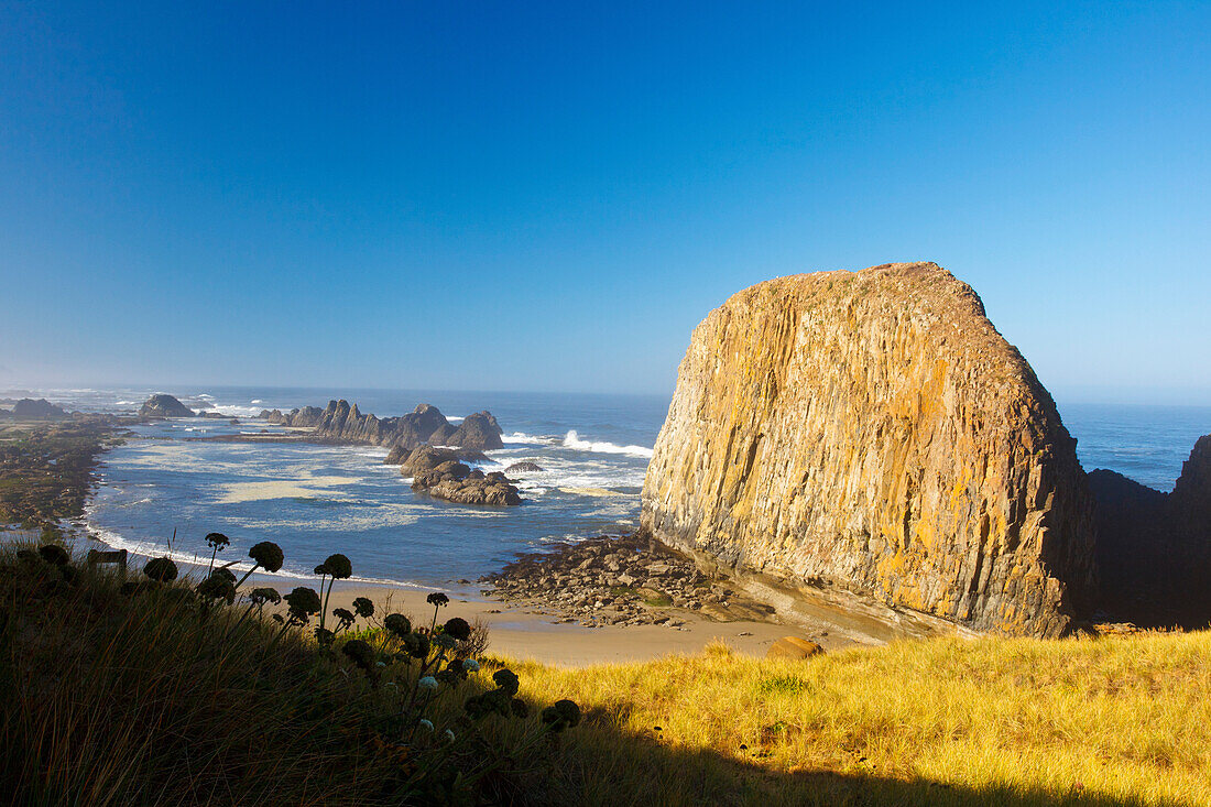 'Low Tide At Seal Rock State Recreation Site; Oregon, United States of America'