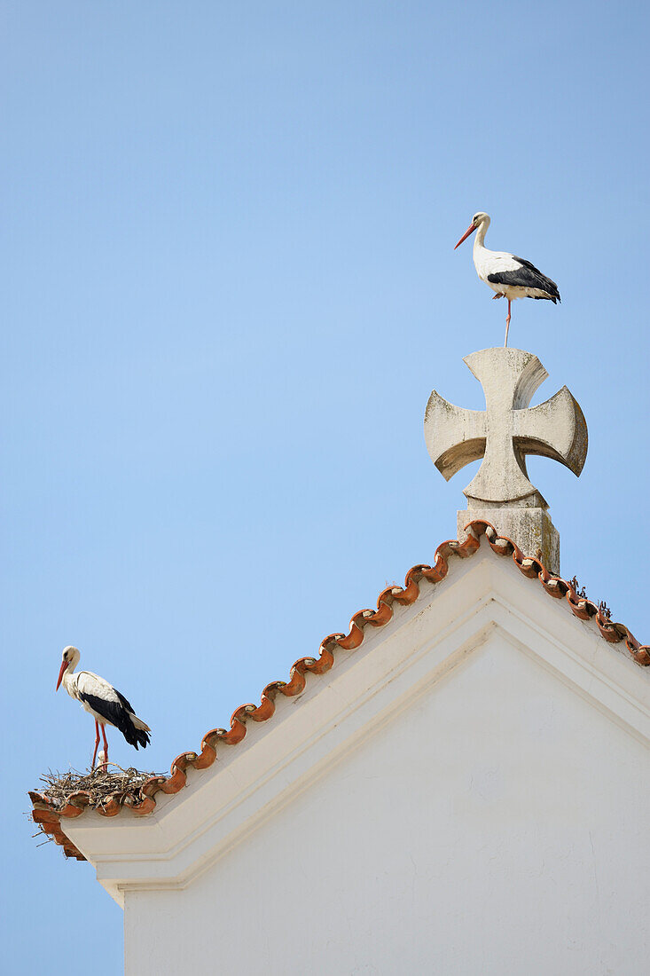 'The Apex Of The Roof Of The Facade Of Nosso Senhora Dos Aflitos; Olhao, Faro, Portugal'