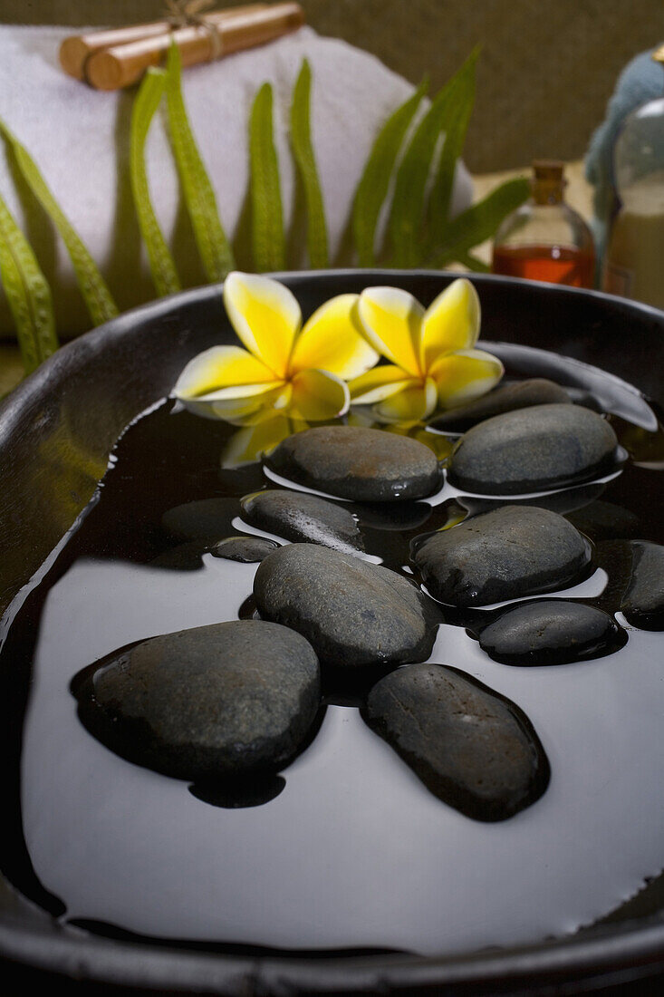 Spa Elements, Stones In Water In A Black Bowl With Plumeria Flowers, Towels, Plants And Bath Products In Background.