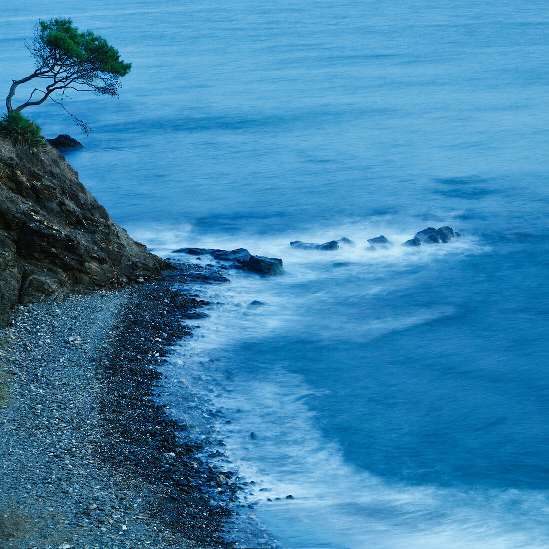 'Isolated Tree On A Cliff Overlooking A Pebble Beach Along The Coast; Benalmadena-Costa, Malaga, Andalusia, Spain'