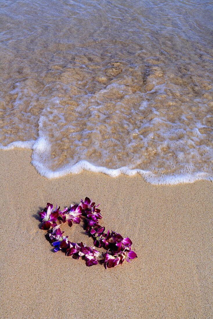 Close-Up Of Orchid Lei In Sand On Beach, Foaming Shore Waters