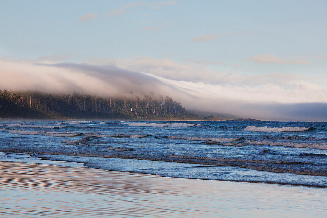 'Fog Forms Over The Temperate Rainforest Along Long Beach In Pacific Rim National Park Near Tofino; British Columbia, Canada'