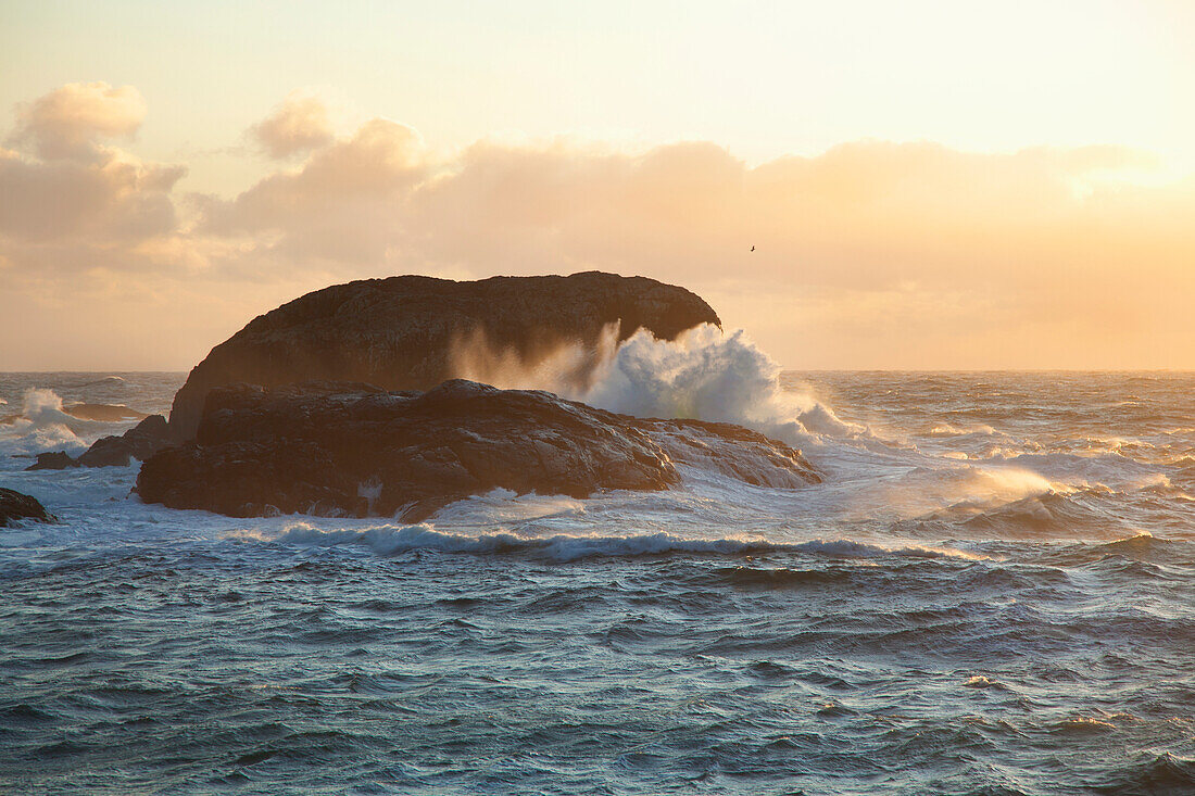 'Waves At South Beach In Pacific Rim National Park Near Tofino; British Columbia, Canada'