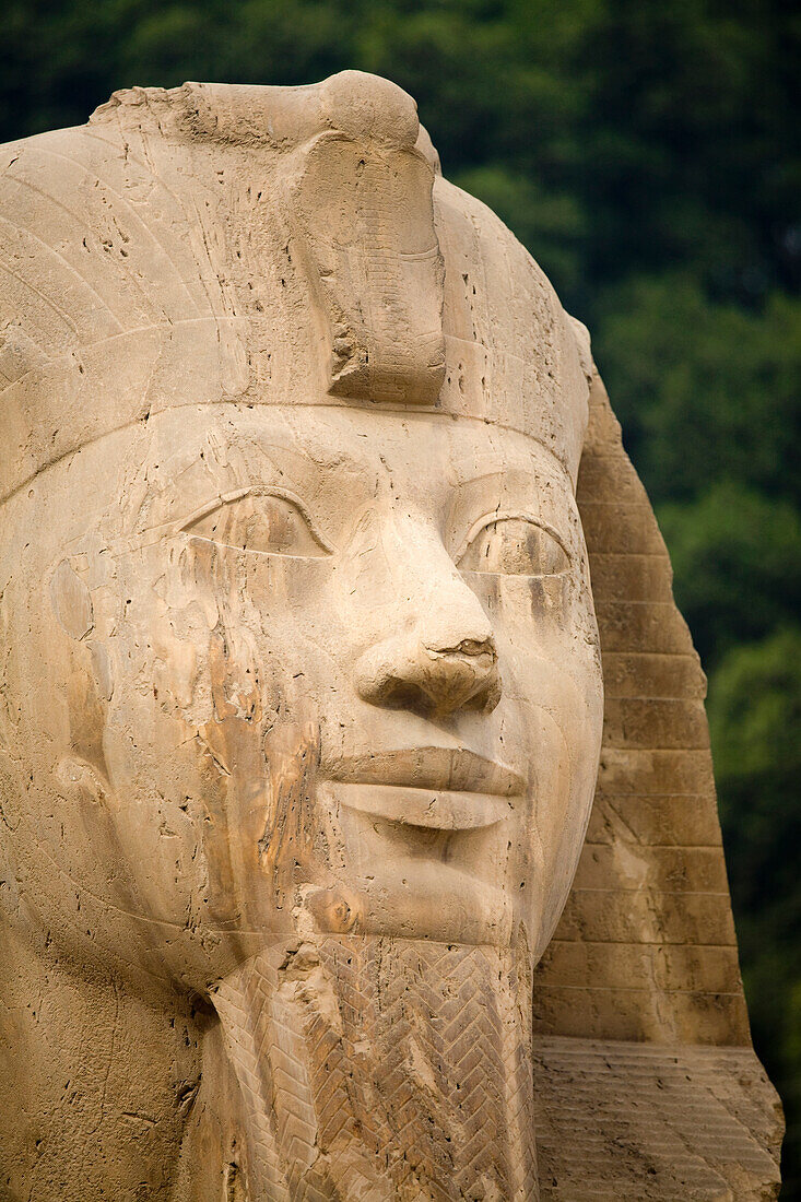 'Egyptian Statue; Memphis, Egypt'