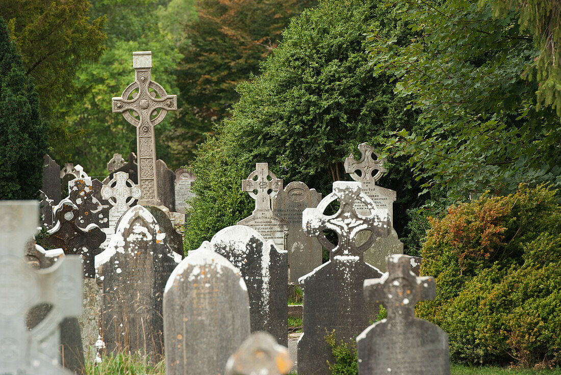 'Old Weathered Tombstones; Ireland'