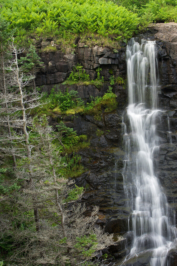 Waterfall On Sloan's Brook, Delap's Cove Wilderness Trail, Nova Scotia, Canada